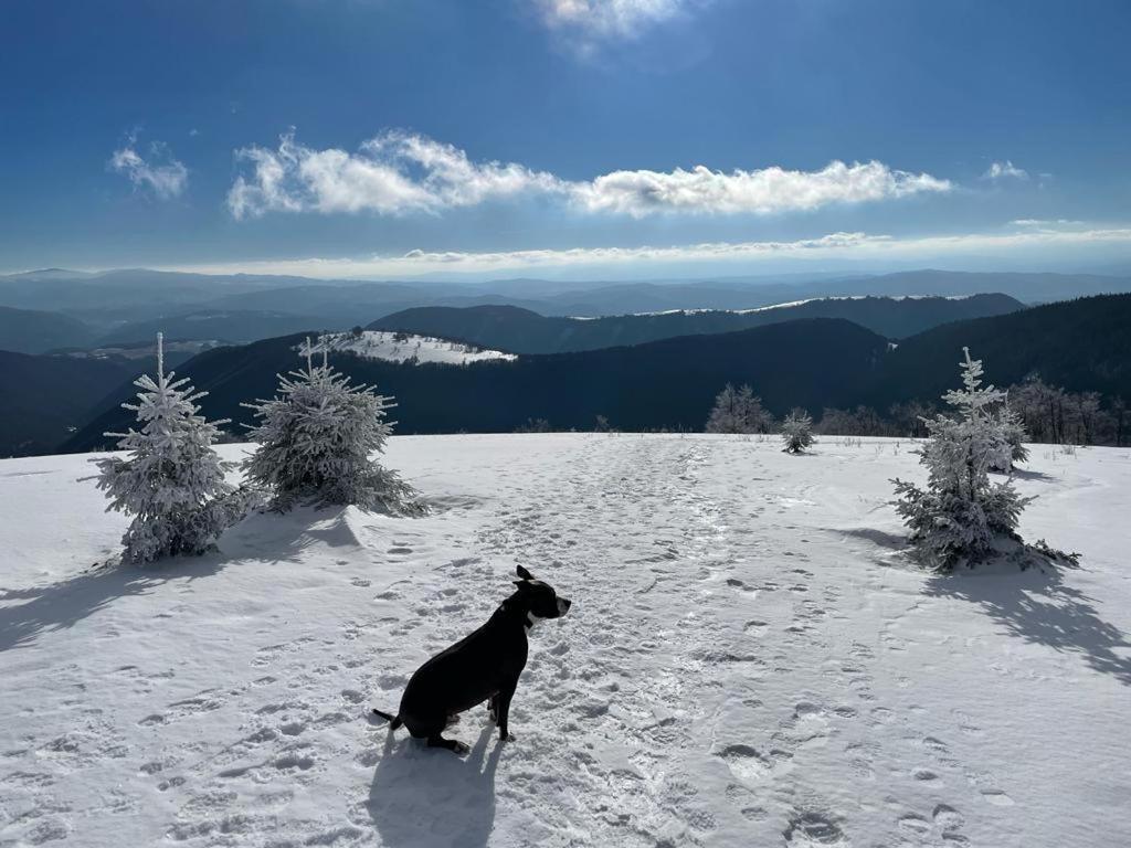 Apartmany Tatran Donovaly Buitenkant foto